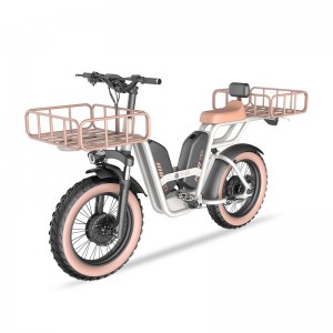 Z-2 1000W 48V 22Ah 52km/h 20*4.0 Tire Lithium Battery Electric Bike