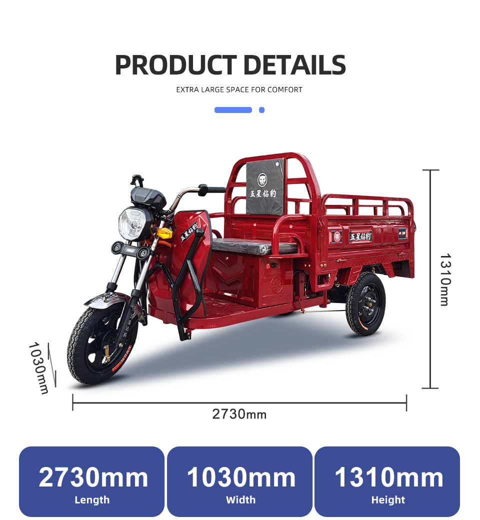 ZB1395 650W 48V 60V 58Ah 38Km/H Lead Acid Battery Electric Tricycle