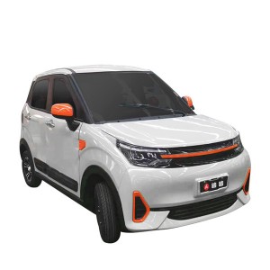 High quality 3000W 60V 80A 43km/h 80-100km LOW-SPEED E-VEHICLE